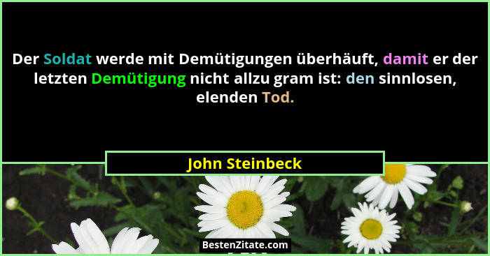 Der Soldat werde mit Demütigungen überhäuft, damit er der letzten Demütigung nicht allzu gram ist: den sinnlosen, elenden Tod.... - John Steinbeck
