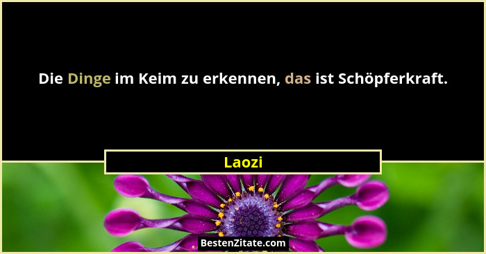 Die Dinge im Keim zu erkennen, das ist Schöpferkraft.... - Laozi