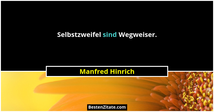 Selbstzweifel sind Wegweiser.... - Manfred Hinrich