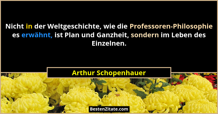 Nicht in der Weltgeschichte, wie die Professoren-Philosophie es erwähnt, ist Plan und Ganzheit, sondern im Leben des Einzelnen.... - Arthur Schopenhauer