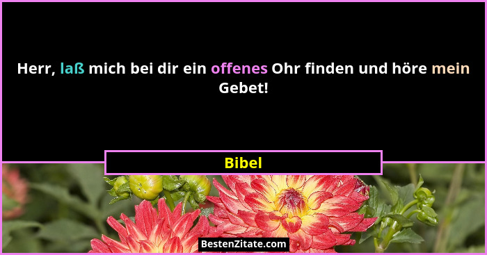 Herr, laß mich bei dir ein offenes Ohr finden und höre mein Gebet!... - Bibel