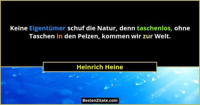 Keine Eigentümer schuf die Natur, denn taschenlos, ohne Taschen in den Pelzen, kommen wir zur Welt.... - Heinrich Heine