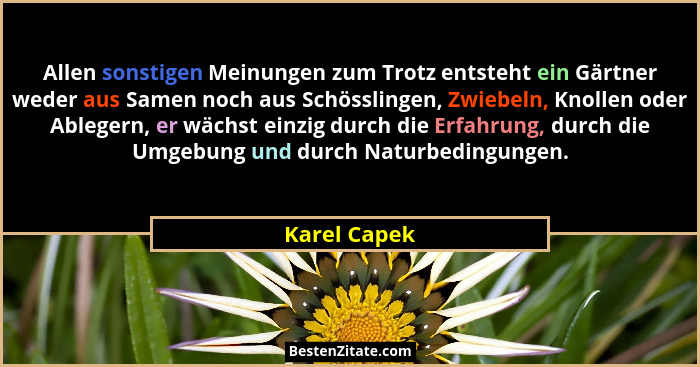 Allen sonstigen Meinungen zum Trotz entsteht ein Gärtner weder aus Samen noch aus Schösslingen, Zwiebeln, Knollen oder Ablegern, er wäch... - Karel Capek