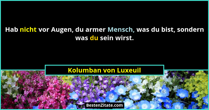 Hab nicht vor Augen, du armer Mensch, was du bist, sondern was du sein wirst.... - Kolumban von Luxeuil