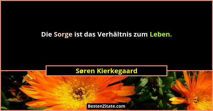 Die Sorge ist das Verhältnis zum Leben.... - Søren Kierkegaard