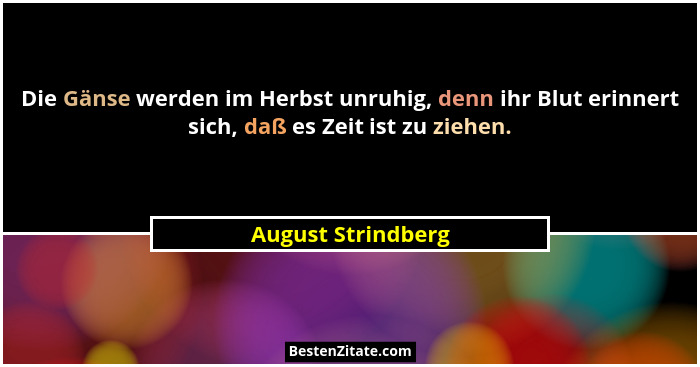Die Gänse werden im Herbst unruhig, denn ihr Blut erinnert sich, daß es Zeit ist zu ziehen.... - August Strindberg