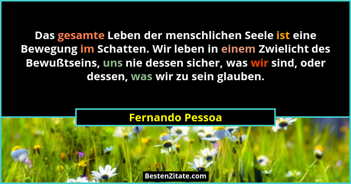 Das gesamte Leben der menschlichen Seele ist eine Bewegung im Schatten. Wir leben in einem Zwielicht des Bewußtseins, uns nie dessen... - Fernando Pessoa
