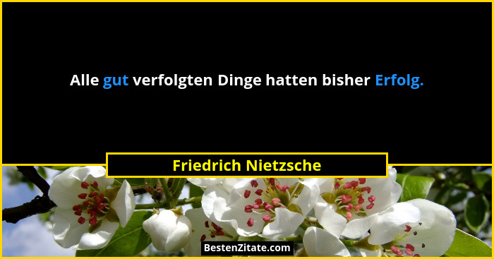 Alle gut verfolgten Dinge hatten bisher Erfolg.... - Friedrich Nietzsche