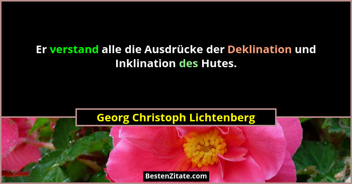 Er verstand alle die Ausdrücke der Deklination und Inklination des Hutes.... - Georg Christoph Lichtenberg