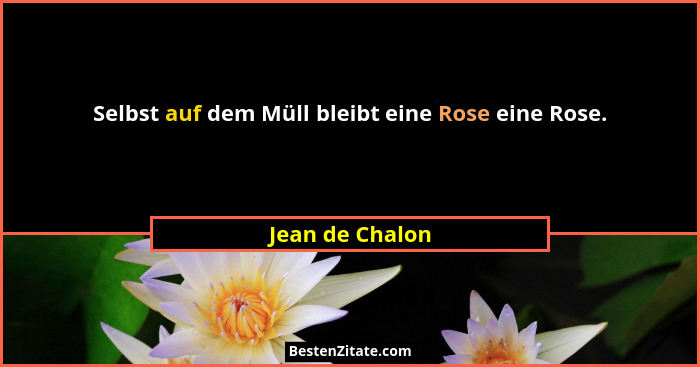 Selbst auf dem Müll bleibt eine Rose eine Rose.... - Jean de Chalon