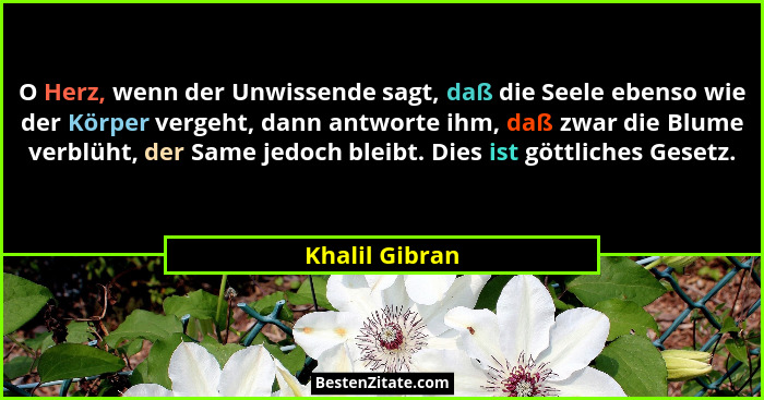 O Herz, wenn der Unwissende sagt, daß die Seele ebenso wie der Körper vergeht, dann antworte ihm, daß zwar die Blume verblüht, der Sam... - Khalil Gibran