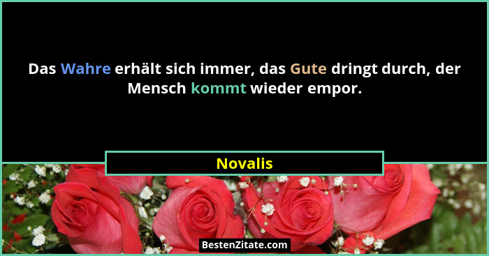 Das Wahre erhält sich immer, das Gute dringt durch, der Mensch kommt wieder empor.... - Novalis