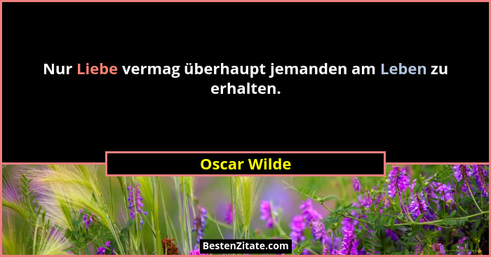 Nur Liebe vermag überhaupt jemanden am Leben zu erhalten.... - Oscar Wilde