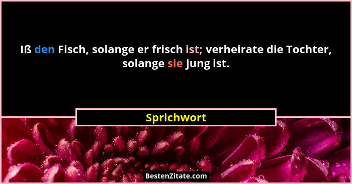 Iß den Fisch, solange er frisch ist; verheirate die Tochter, solange sie jung ist.... - Sprichwort