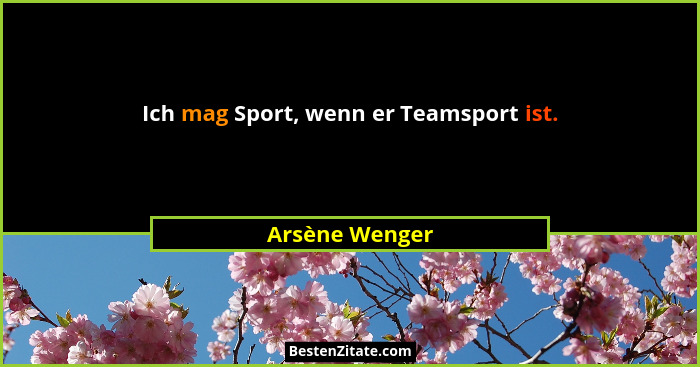 Ich mag Sport, wenn er Teamsport ist.... - Arsène Wenger
