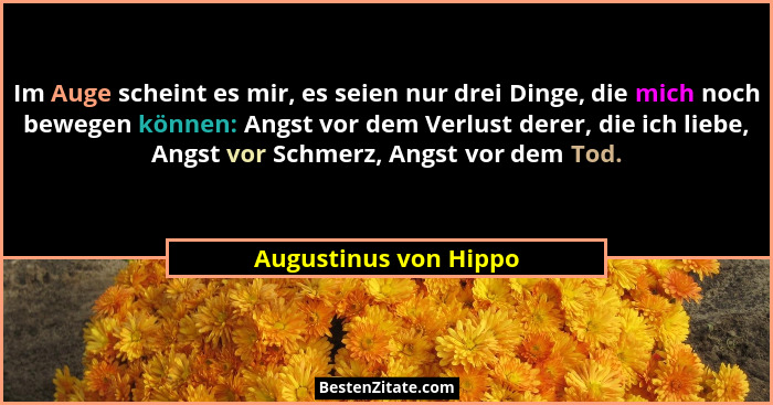 Im Auge scheint es mir, es seien nur drei Dinge, die mich noch bewegen können: Angst vor dem Verlust derer, die ich liebe, Angs... - Augustinus von Hippo