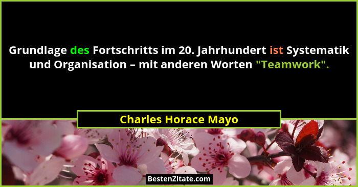 Grundlage des Fortschritts im 20. Jahrhundert ist Systematik und Organisation – mit anderen Worten "Teamwork".... - Charles Horace Mayo