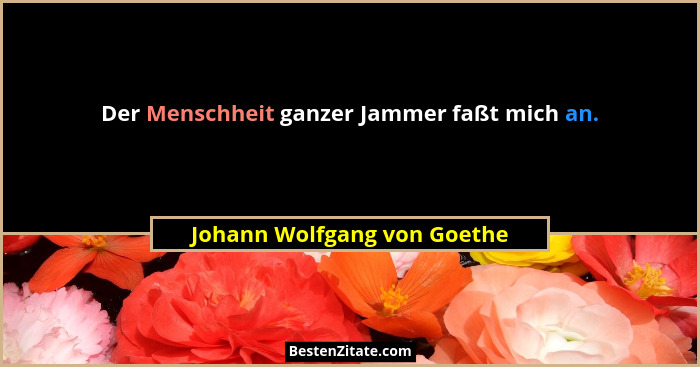 Der Menschheit ganzer Jammer faßt mich an.... - Johann Wolfgang von Goethe