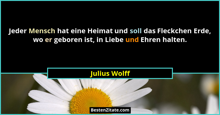 Jeder Mensch hat eine Heimat und soll das Fleckchen Erde, wo er geboren ist, in Liebe und Ehren halten.... - Julius Wolff