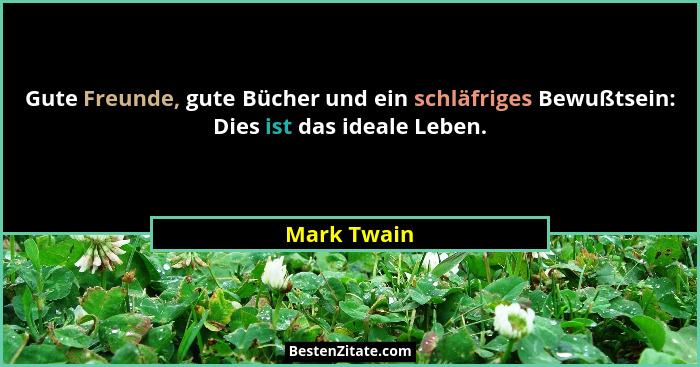 Gute Freunde, gute Bücher und ein schläfriges Bewußtsein: Dies ist das ideale Leben.... - Mark Twain