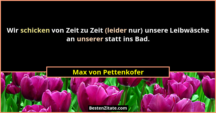 Wir schicken von Zeit zu Zeit (leider nur) unsere Leibwäsche an unserer statt ins Bad.... - Max von Pettenkofer