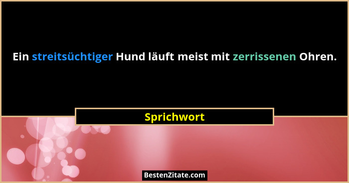 Ein streitsüchtiger Hund läuft meist mit zerrissenen Ohren.... - Sprichwort
