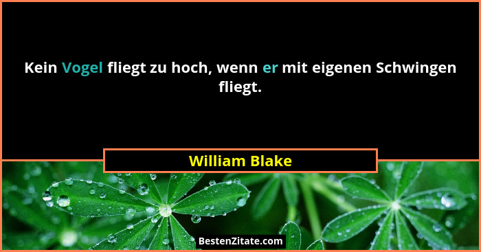 Kein Vogel fliegt zu hoch, wenn er mit eigenen Schwingen fliegt.... - William Blake