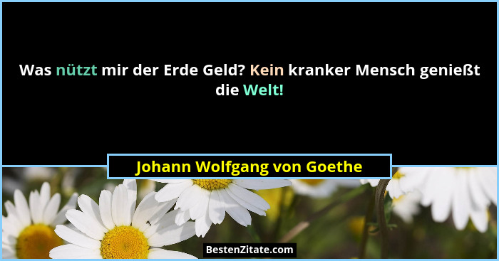 Was nützt mir der Erde Geld? Kein kranker Mensch genießt die Welt!... - Johann Wolfgang von Goethe