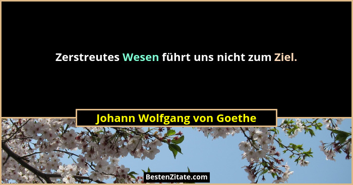Zerstreutes Wesen führt uns nicht zum Ziel.... - Johann Wolfgang von Goethe