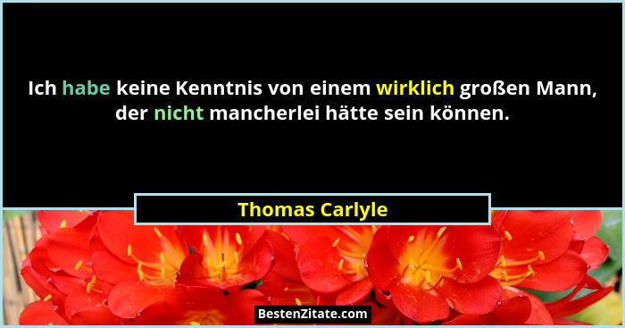 Ich habe keine Kenntnis von einem wirklich großen Mann, der nicht mancherlei hätte sein können.... - Thomas Carlyle