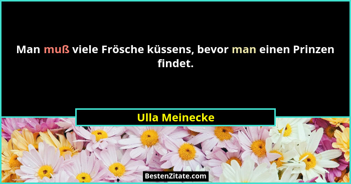 Man muß viele Frösche küssens, bevor man einen Prinzen findet.... - Ulla Meinecke
