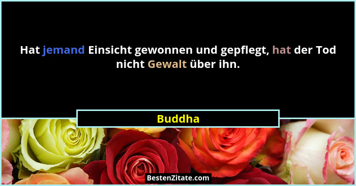 Hat jemand Einsicht gewonnen und gepflegt, hat der Tod nicht Gewalt über ihn.... - Buddha