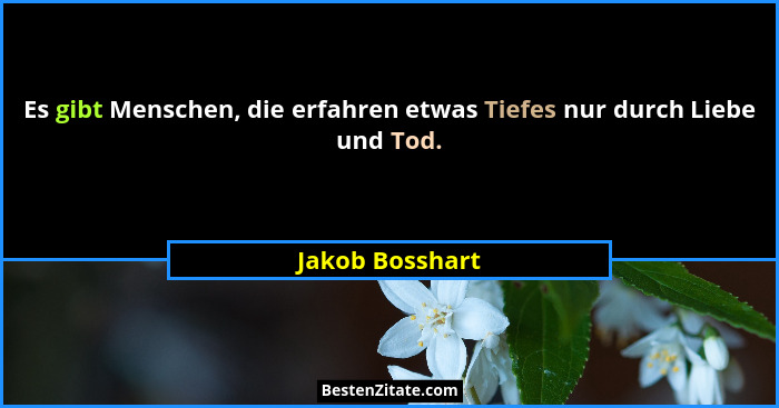 Es gibt Menschen, die erfahren etwas Tiefes nur durch Liebe und Tod.... - Jakob Bosshart
