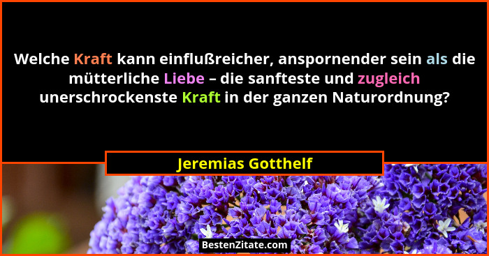 Welche Kraft kann einflußreicher, anspornender sein als die mütterliche Liebe – die sanfteste und zugleich unerschrockenste Kraft... - Jeremias Gotthelf