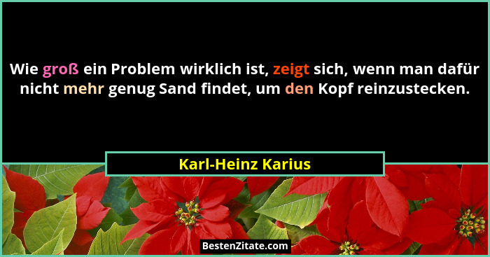 Wie groß ein Problem wirklich ist, zeigt sich, wenn man dafür nicht mehr genug Sand findet, um den Kopf reinzustecken.... - Karl-Heinz Karius