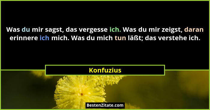 Was du mir sagst, das vergesse ich. Was du mir zeigst, daran erinnere ich mich. Was du mich tun läßt; das verstehe ich.... - Konfuzius