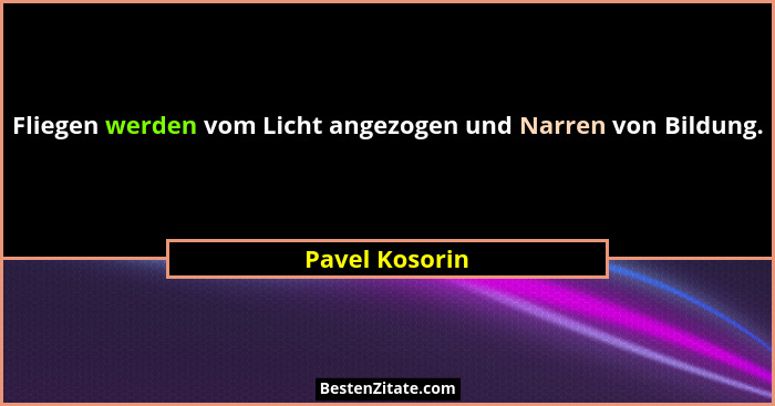 Fliegen werden vom Licht angezogen und Narren von Bildung.... - Pavel Kosorin