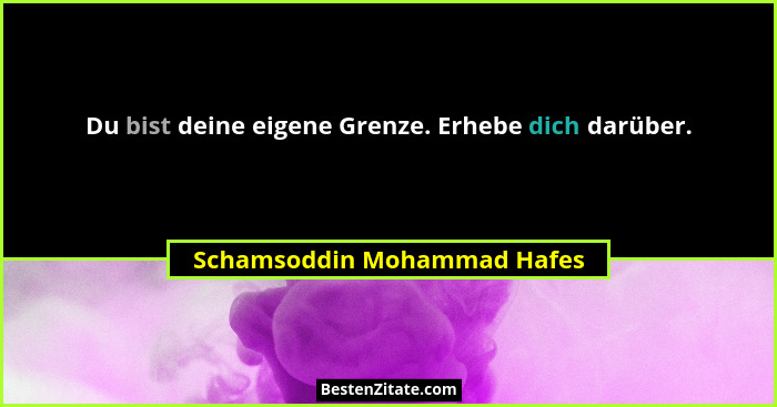 Du bist deine eigene Grenze. Erhebe dich darüber.... - Schamsoddin Mohammad Hafes