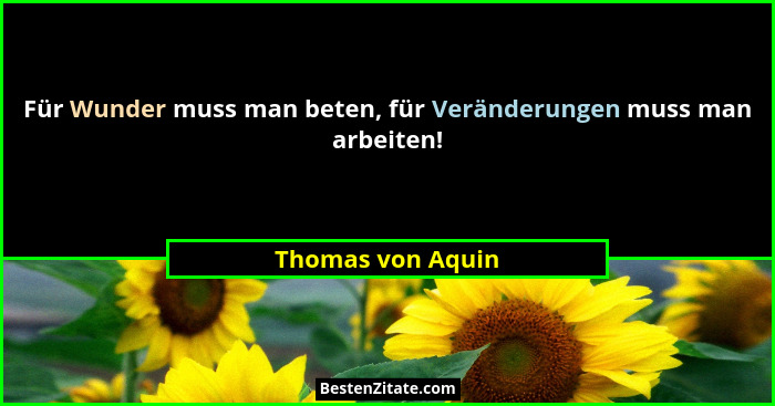 Für Wunder muss man beten, für Veränderungen muss man arbeiten!... - Thomas von Aquin