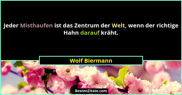 Jeder Misthaufen ist das Zentrum der Welt, wenn der richtige Hahn darauf kräht.... - Wolf Biermann