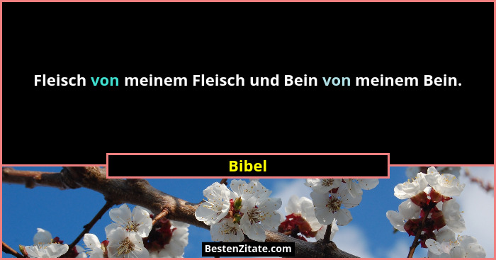 Fleisch von meinem Fleisch und Bein von meinem Bein.... - Bibel
