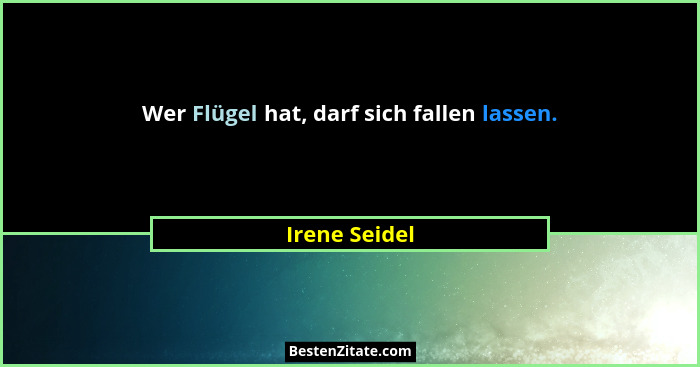 Wer Flügel hat, darf sich fallen lassen.... - Irene Seidel