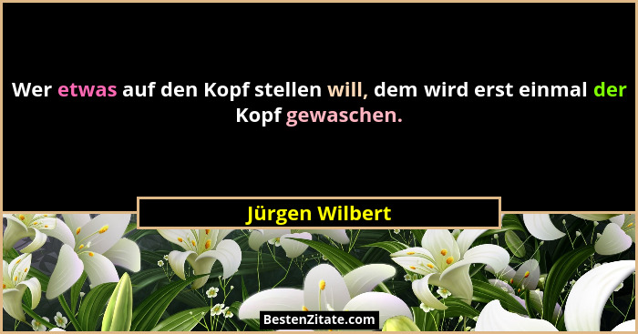 Wer etwas auf den Kopf stellen will, dem wird erst einmal der Kopf gewaschen.... - Jürgen Wilbert