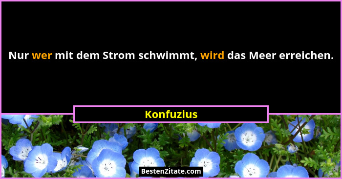 Nur wer mit dem Strom schwimmt, wird das Meer erreichen.... - Konfuzius