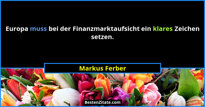 Europa muss bei der Finanzmarktaufsicht ein klares Zeichen setzen.... - Markus Ferber