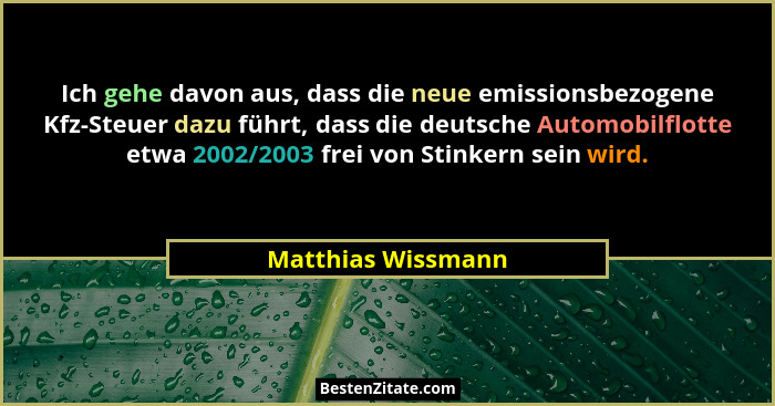Ich gehe davon aus, dass die neue emissionsbezogene Kfz-Steuer dazu führt, dass die deutsche Automobilflotte etwa 2002/2003 frei v... - Matthias Wissmann