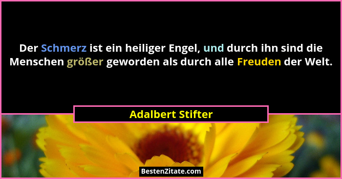Der Schmerz ist ein heiliger Engel, und durch ihn sind die Menschen größer geworden als durch alle Freuden der Welt.... - Adalbert Stifter