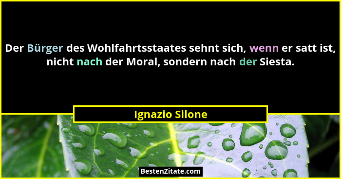 Der Bürger des Wohlfahrtsstaates sehnt sich, wenn er satt ist, nicht nach der Moral, sondern nach der Siesta.... - Ignazio Silone