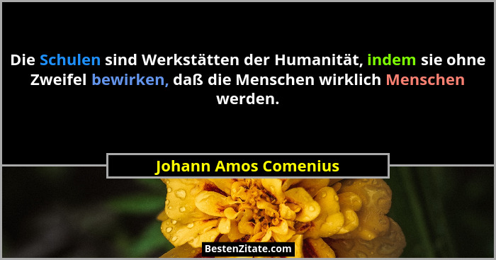 Die Schulen sind Werkstätten der Humanität, indem sie ohne Zweifel bewirken, daß die Menschen wirklich Menschen werden.... - Johann Amos Comenius