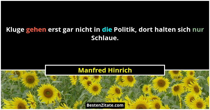 Kluge gehen erst gar nicht in die Politik, dort halten sich nur Schlaue.... - Manfred Hinrich